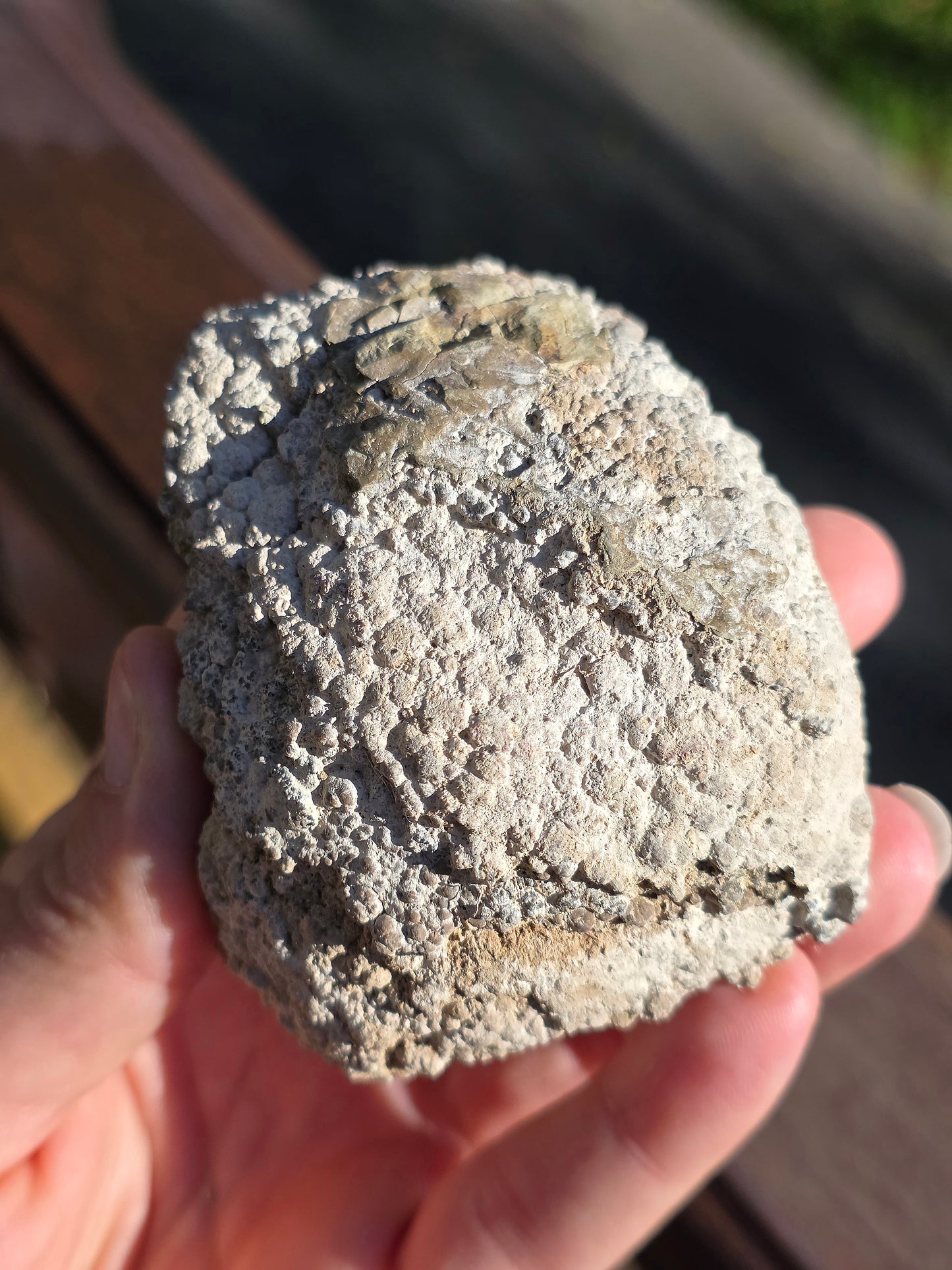 Stromatolite française n°1