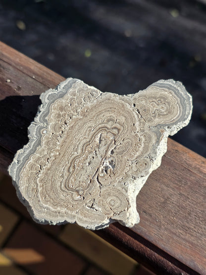 Stromatolite française n°2