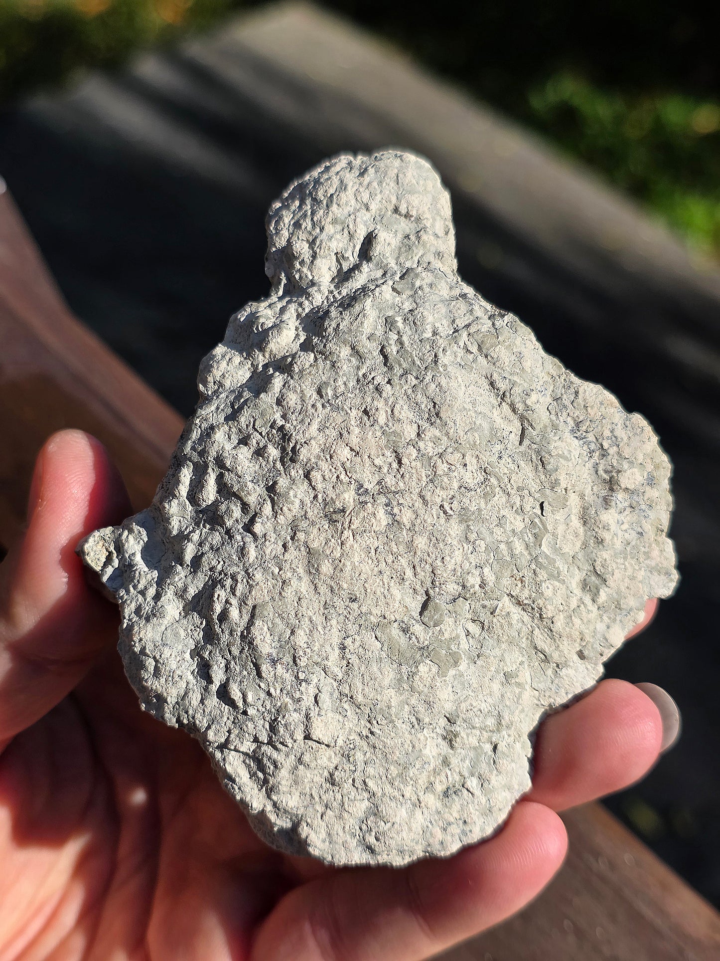 Stromatolite française n°2