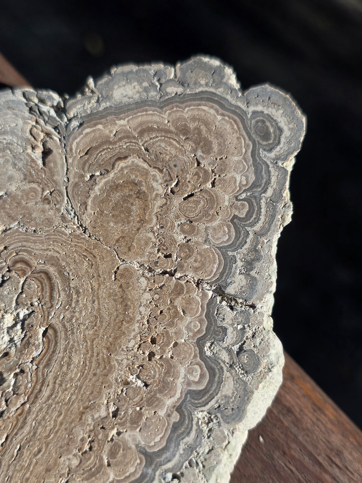 Stromatolite française n°3