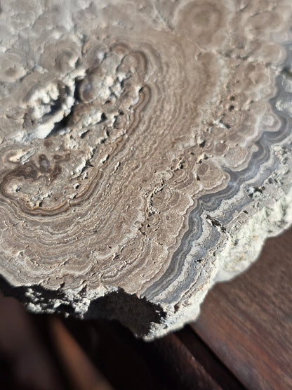 Stromatolite française n°3