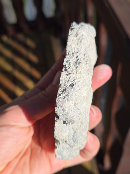 Stromatolite française n°3