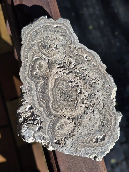 Stromatolite française n°4