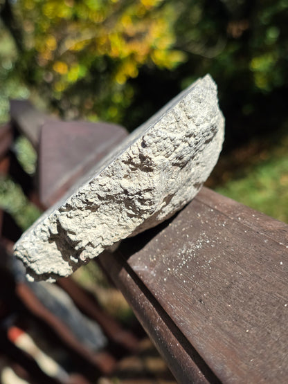 Stromatolite française n°4