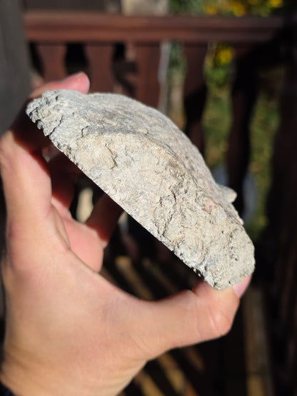 Stromatolite française n°4