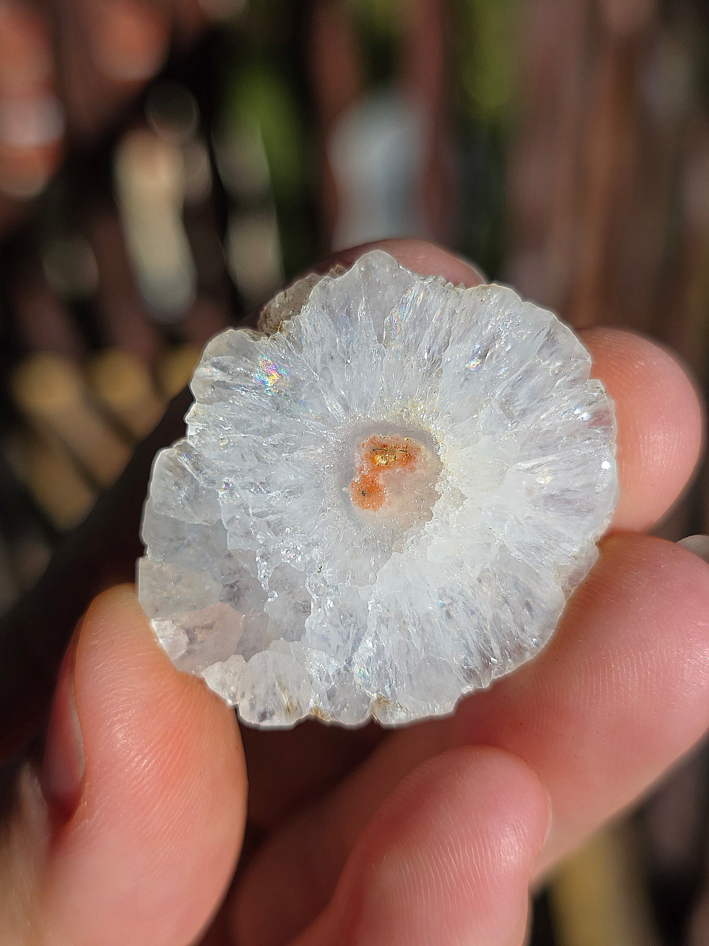 Quartz solaire (à choisir)