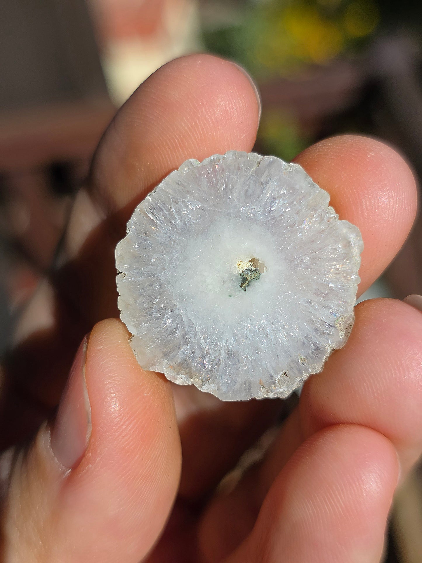 Quartz solaire (à choisir)