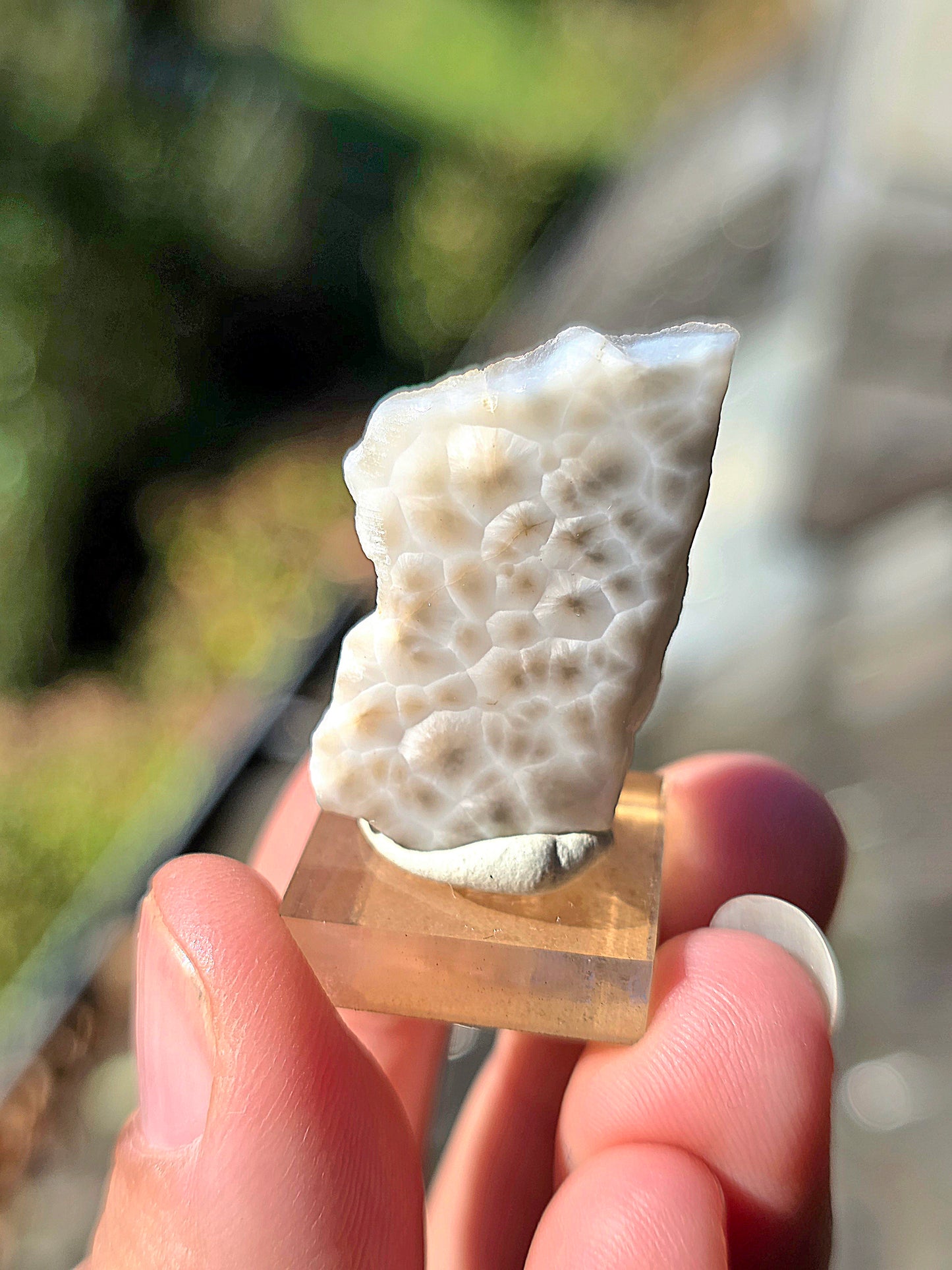 Natrolite d'Indonésie (à choisir)