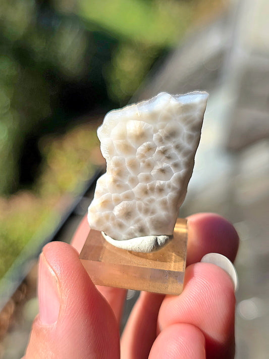 Natrolite d'Indonésie (à choisir)