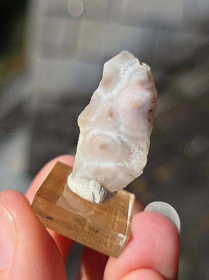 Natrolite d'Indonésie sur socle