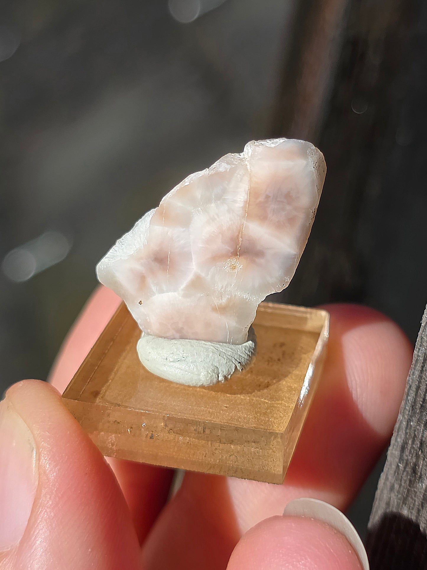 Natrolite d'Indonésie sur socle