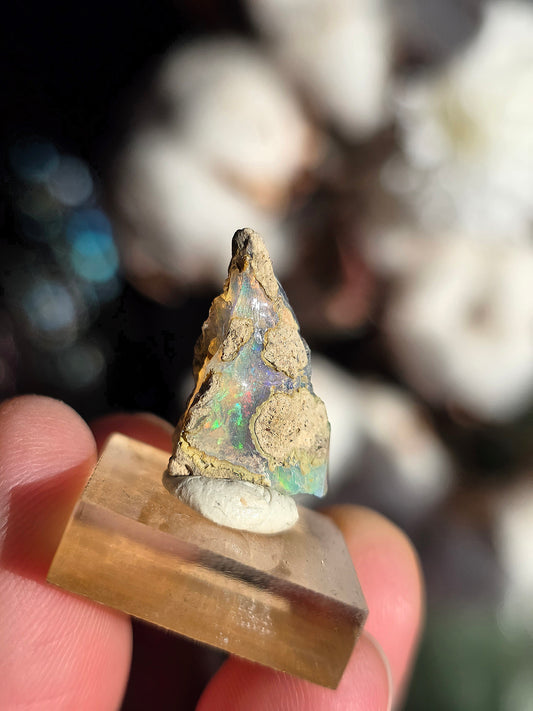 Opale noble d'Ethiopie brute (à choisir)