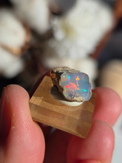 Opale noble d'Ethiopie brute (à choisir)