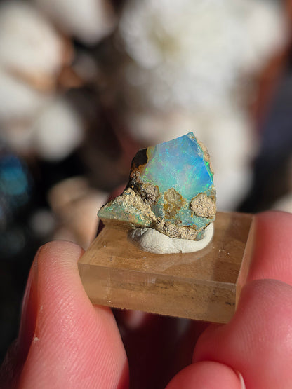 Opale noble d'Ethiopie brute (à choisir)