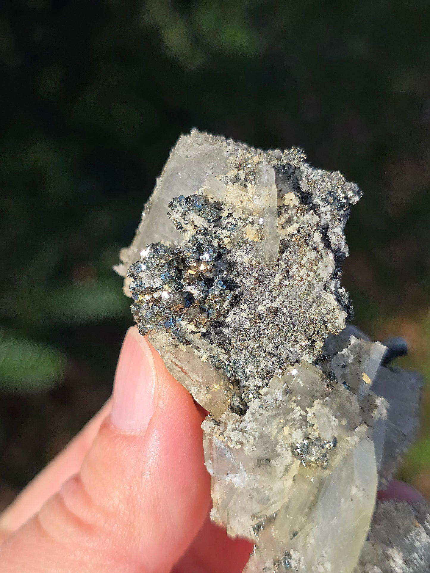 Chalcopyrite sur Baryte du Maroc