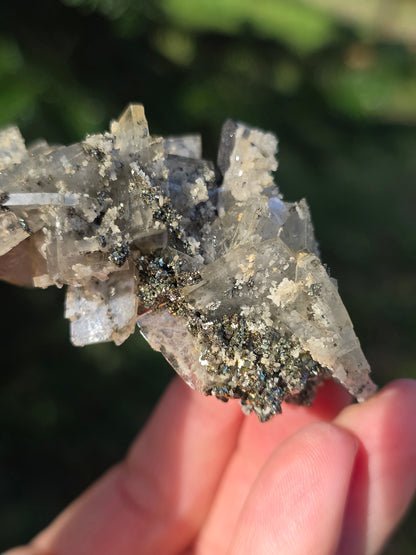 Chalcopyrite sur Baryte du Maroc