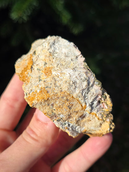 Apatite jaune du Maroc