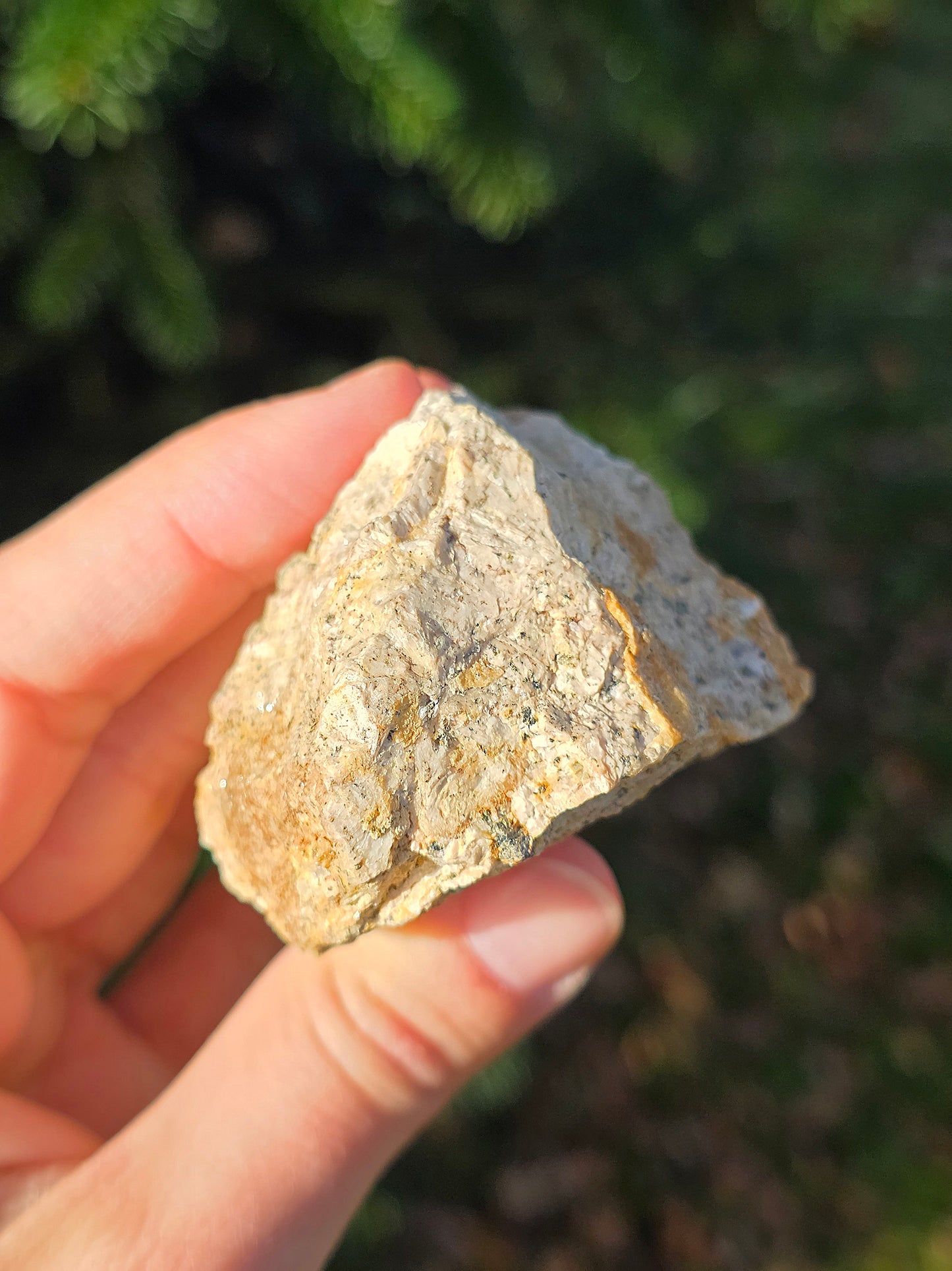 Apatite jaune du Maroc