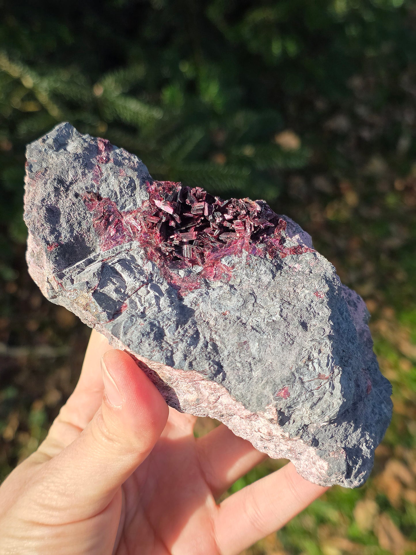 Grosse Erythrite du Maroc