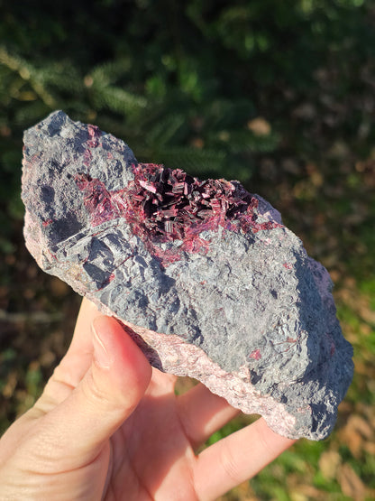 Grosse Erythrite du Maroc