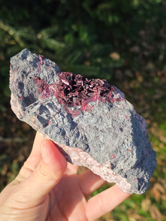 Grosse Erythrite du Maroc