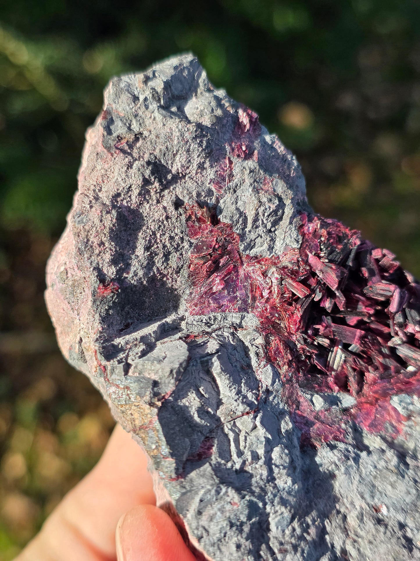 Grosse Erythrite du Maroc