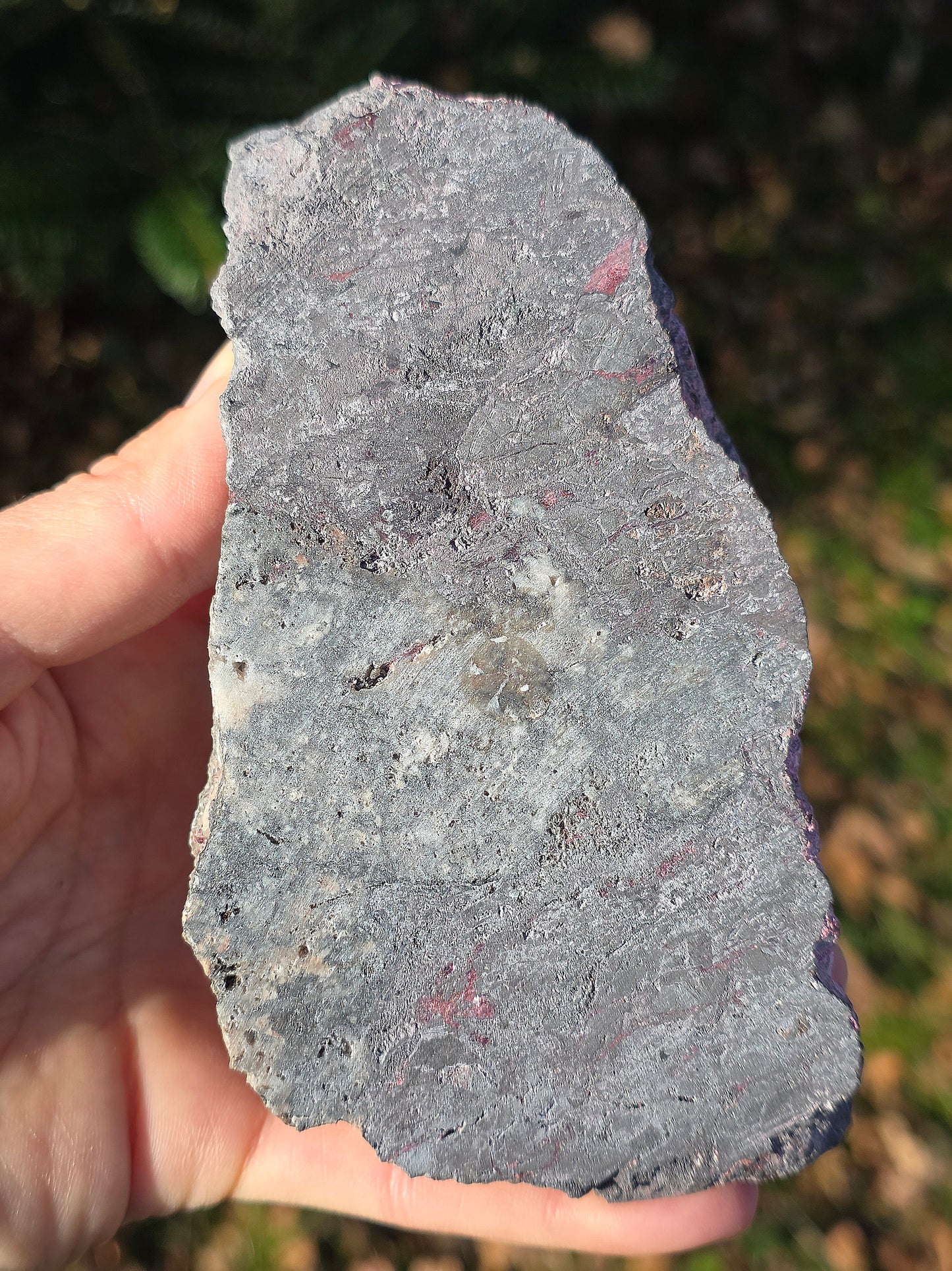 Grosse Erythrite du Maroc