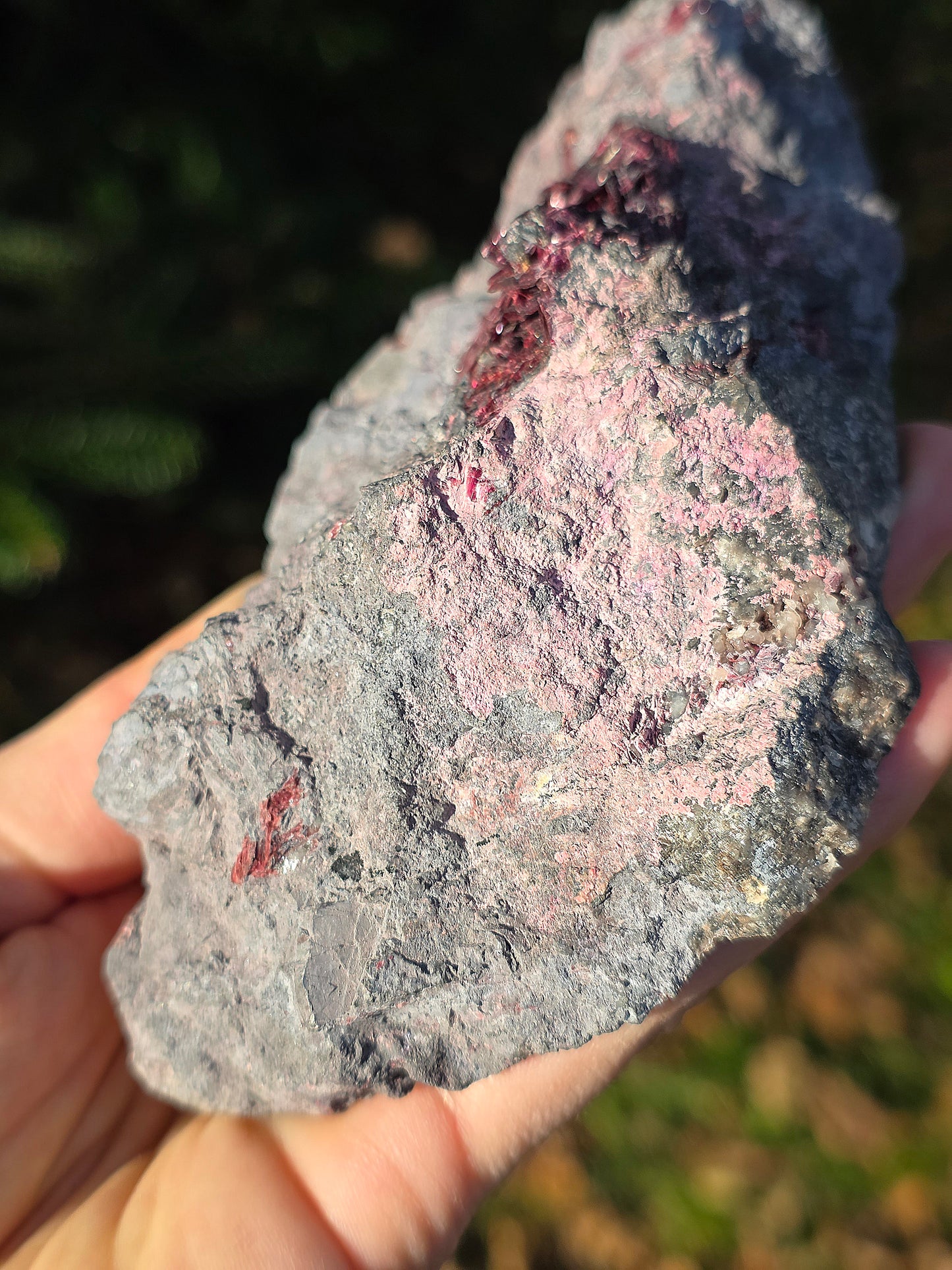 Grosse Erythrite du Maroc