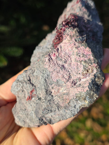 Grosse Erythrite du Maroc