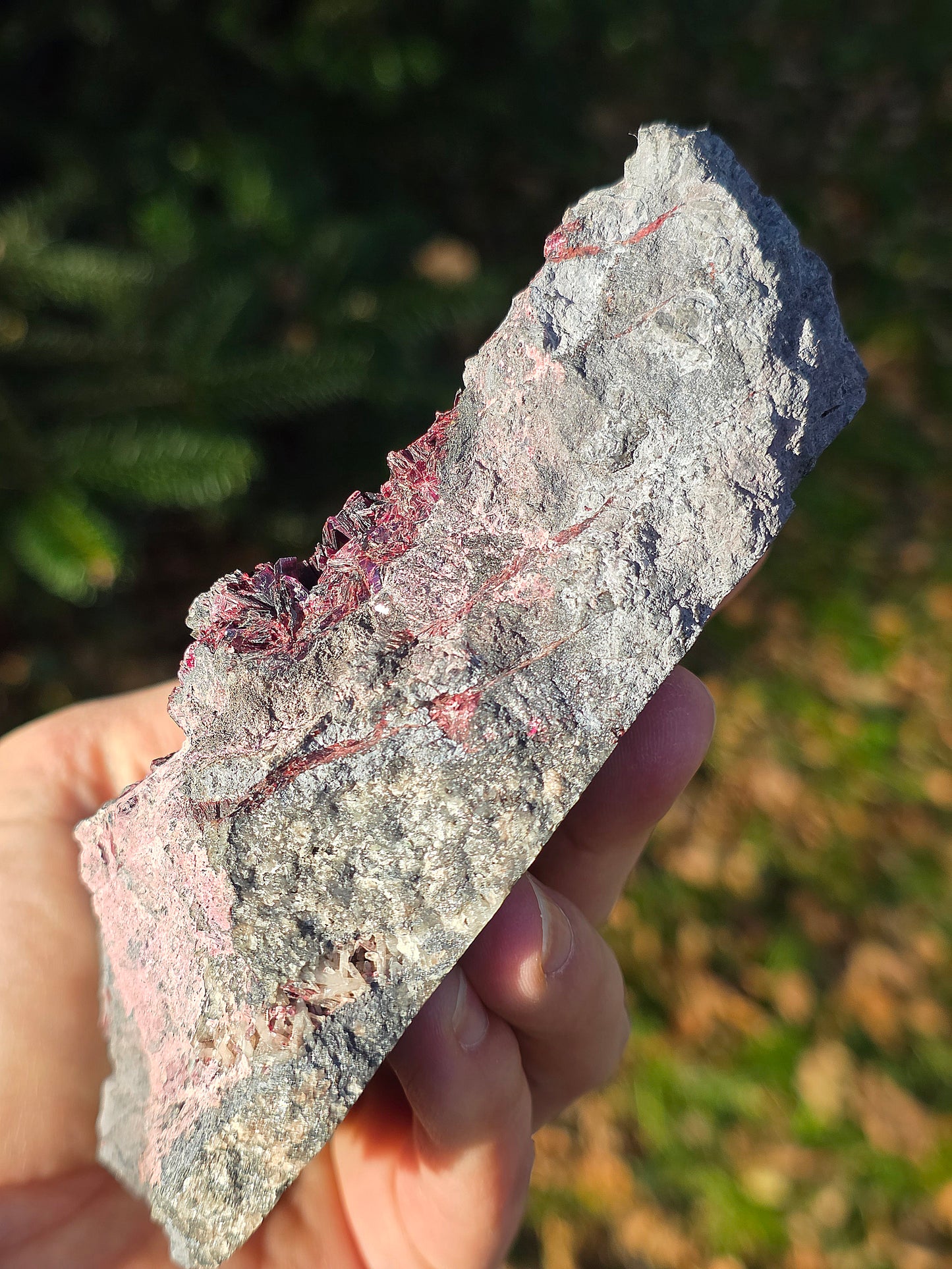 Grosse Erythrite du Maroc