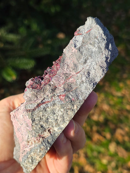 Grosse Erythrite du Maroc