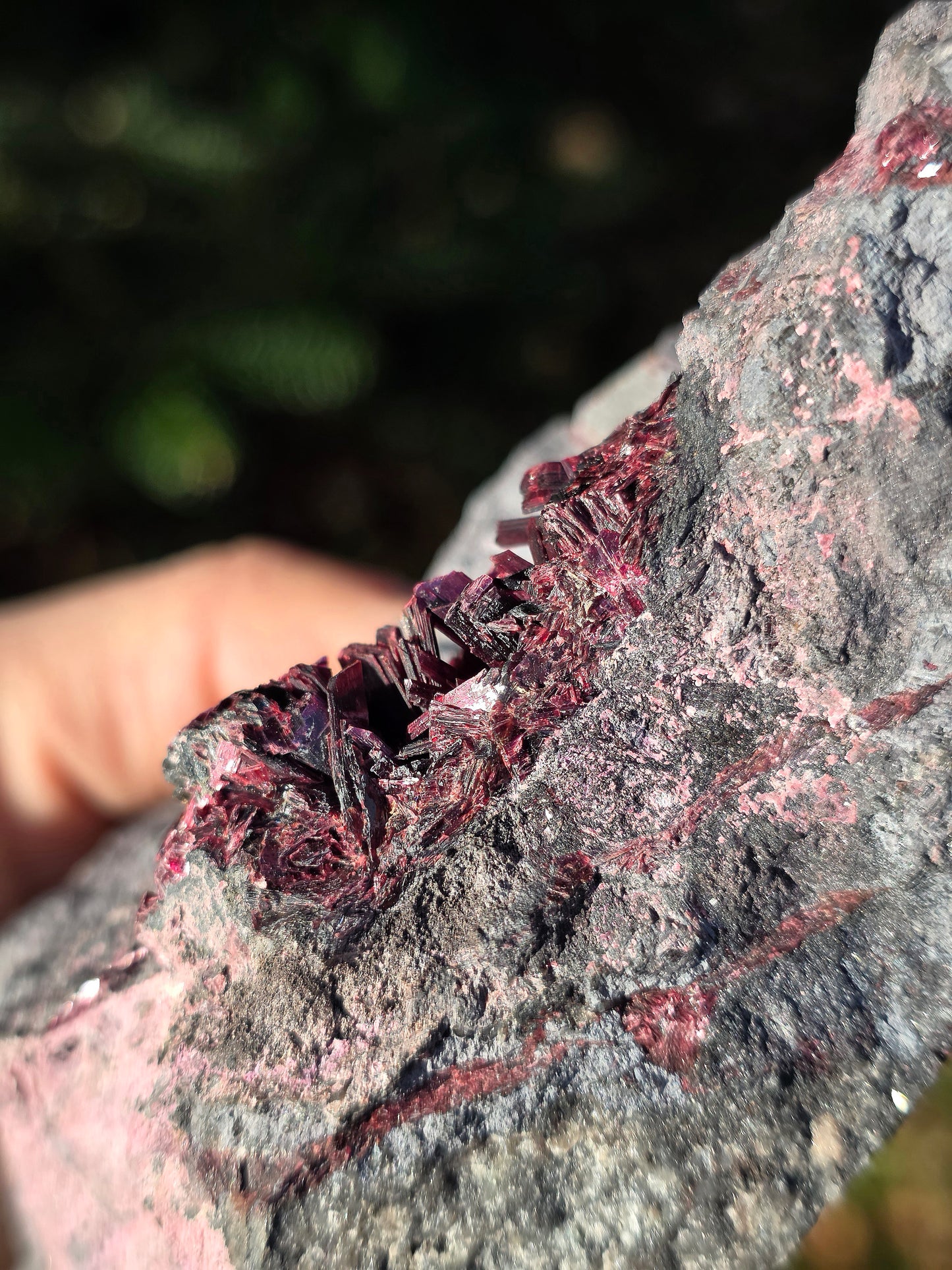 Grosse Erythrite du Maroc