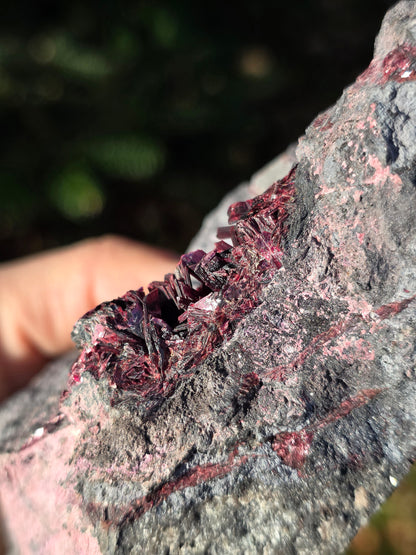 Grosse Erythrite du Maroc