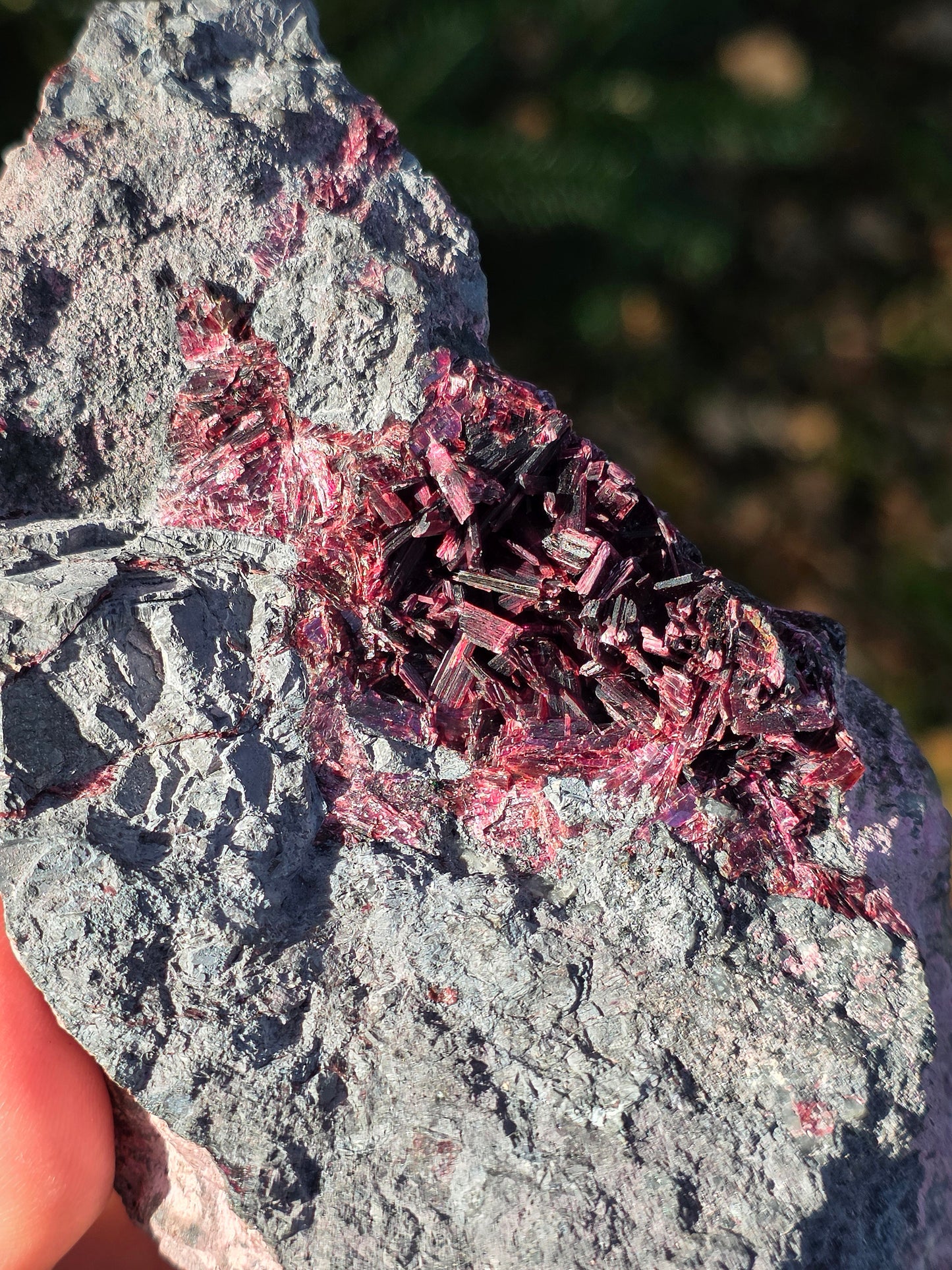 Grosse Erythrite du Maroc