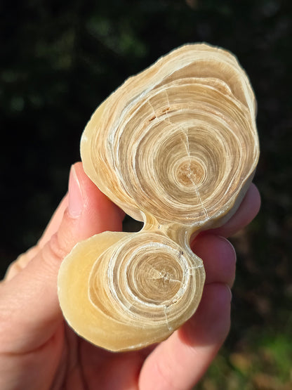 Calcite et Aragonite (à choisir)