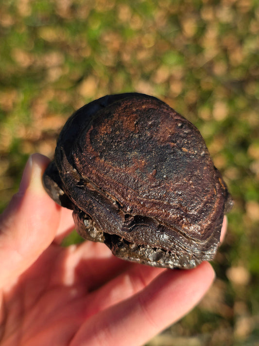 Tsésite de Namibie n°4