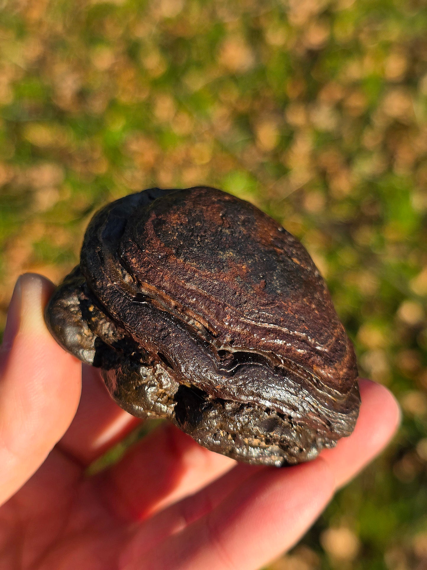 Tsésite de Namibie n°4