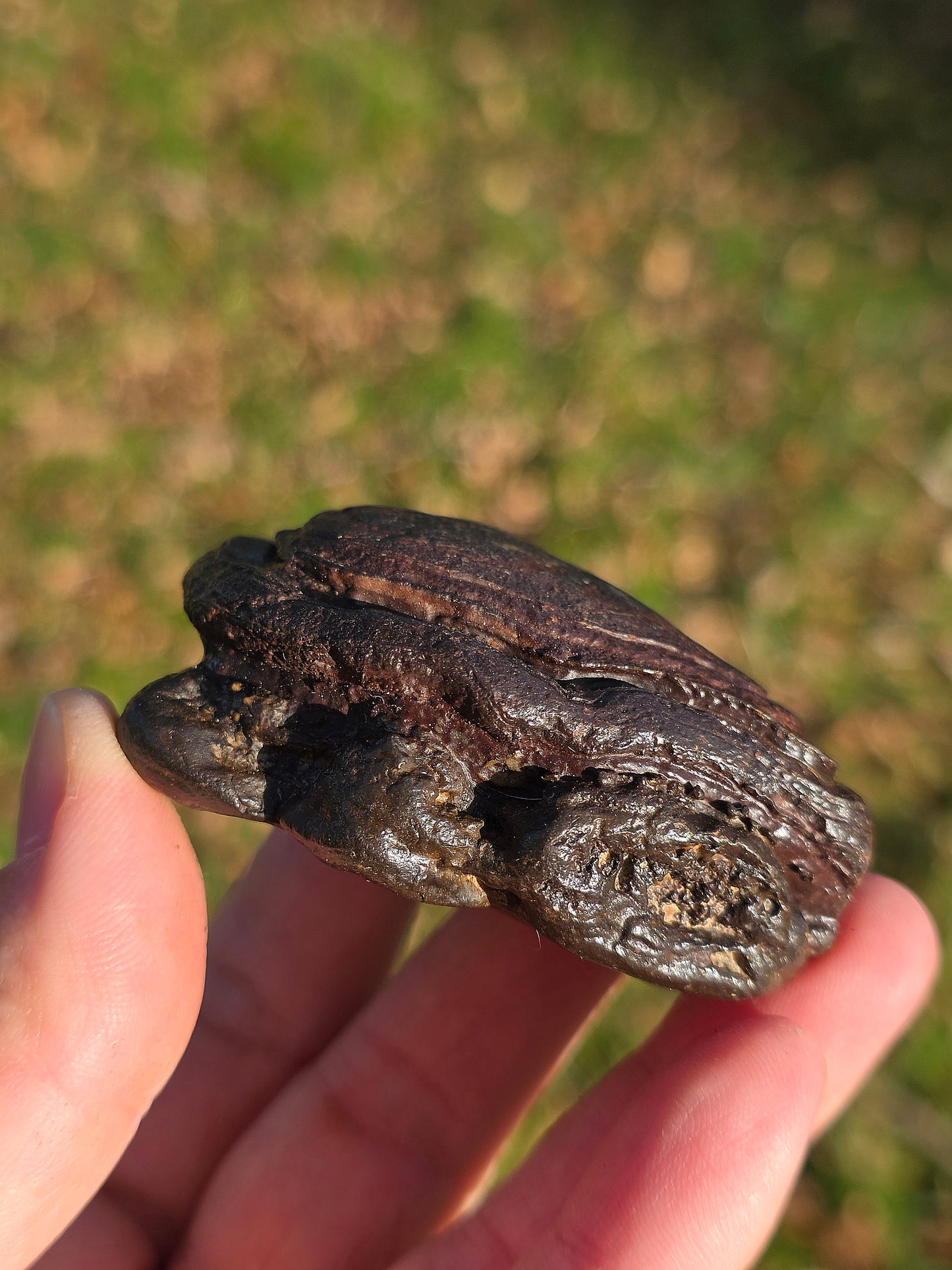 Tsésite de Namibie n°4