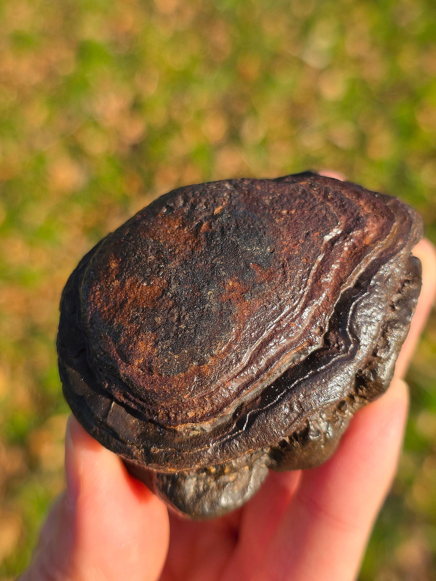 Tsésite de Namibie n°4