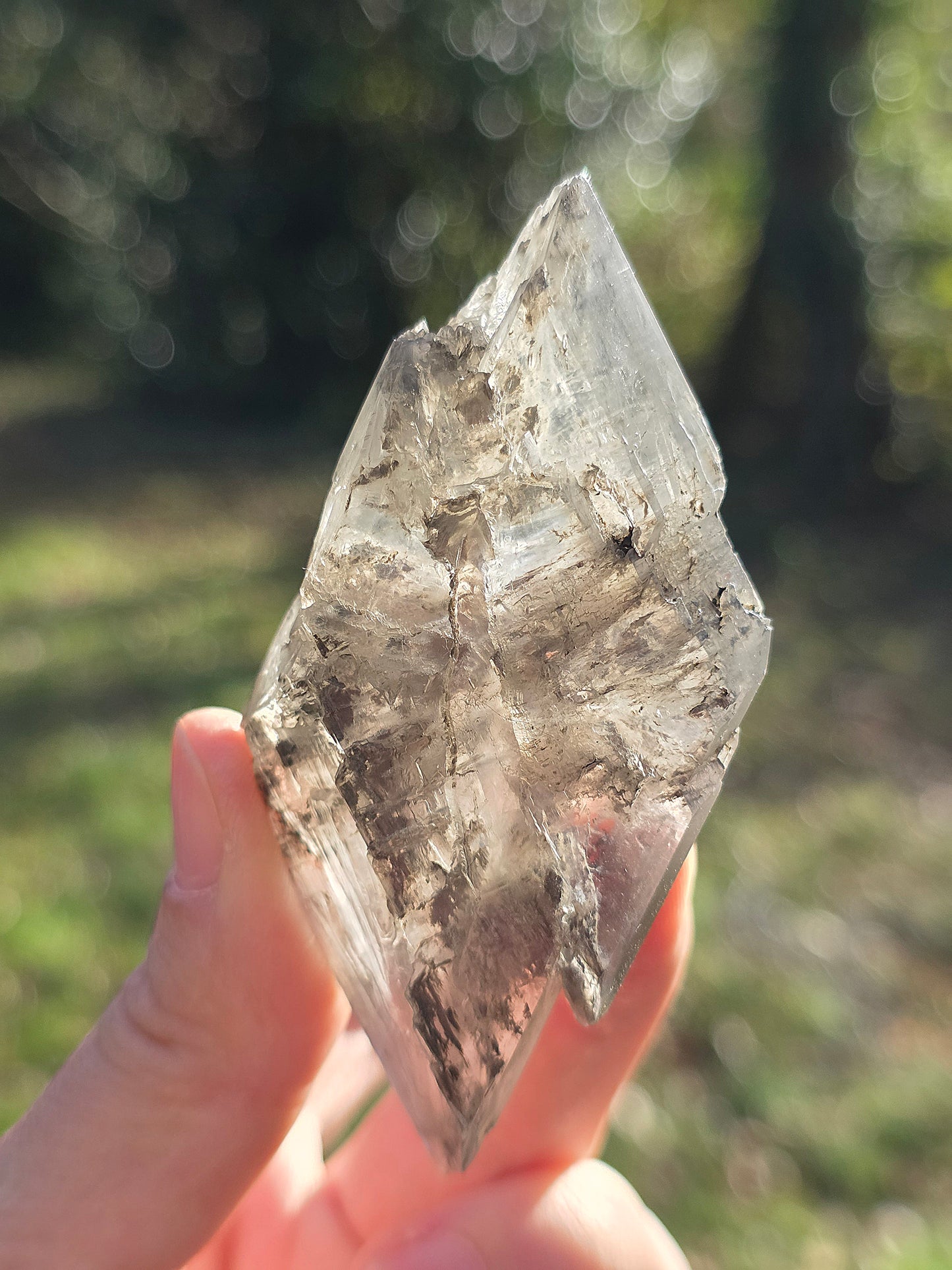 Gypse de Sinard n°2