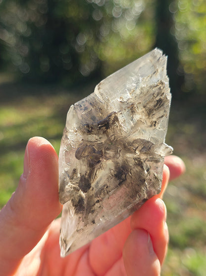 Gypse de Sinard n°2