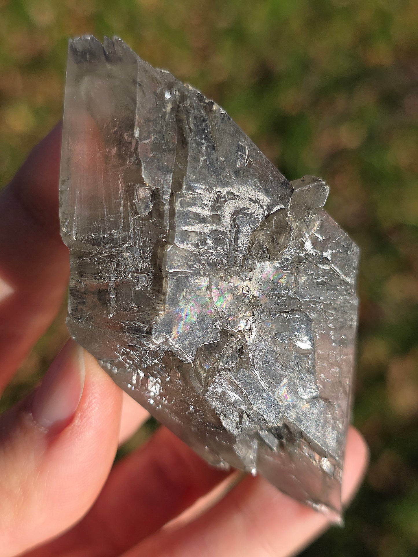 Gypse de Sinard n°2