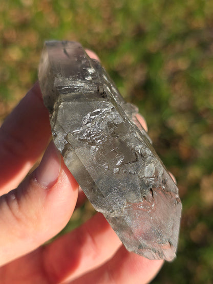 Gypse de Sinard n°2