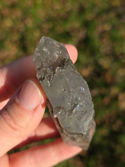 Gypse de Sinard n°2