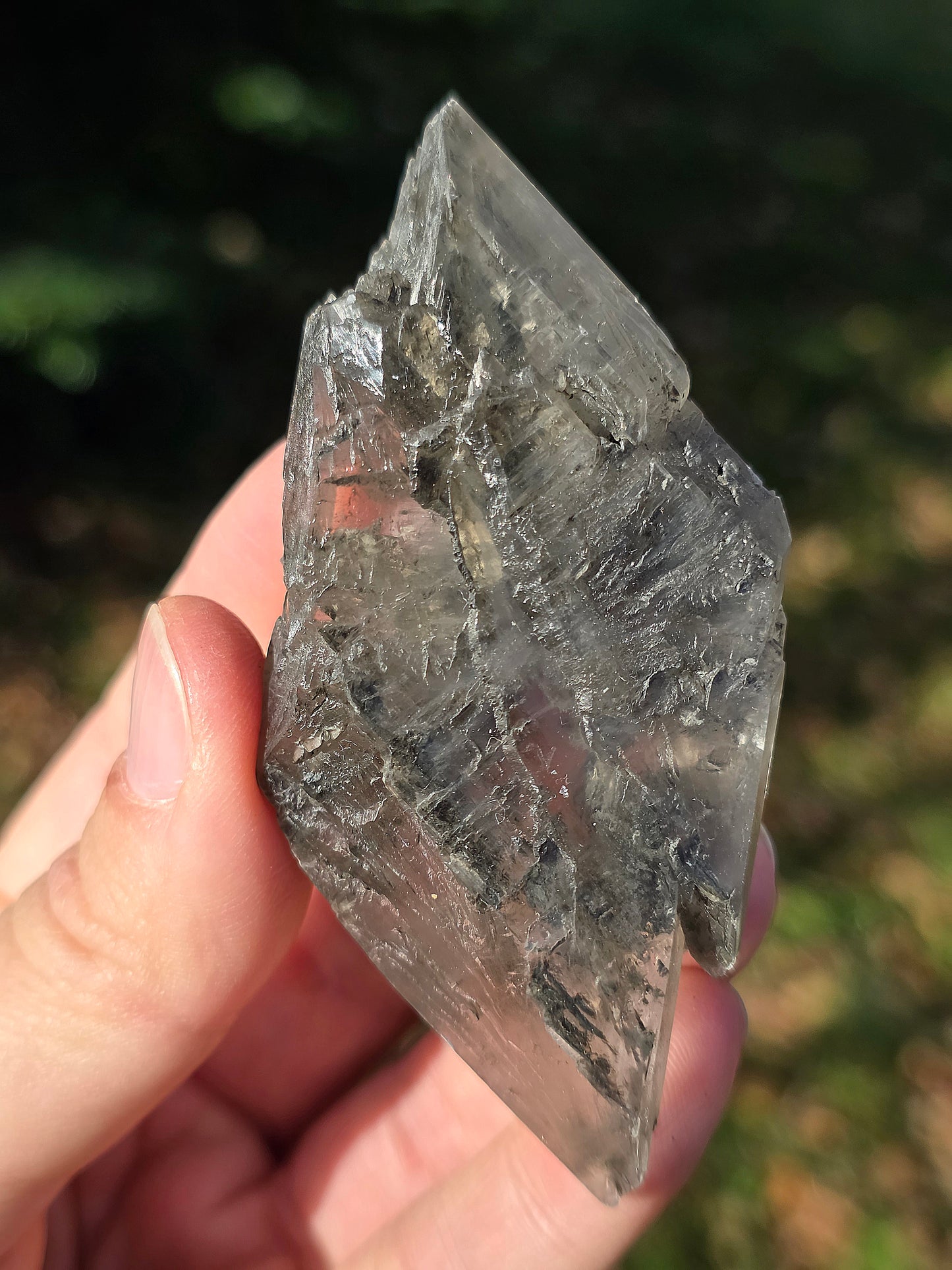 Gypse de Sinard n°2