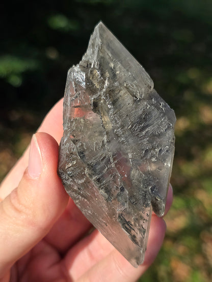 Gypse de Sinard n°2