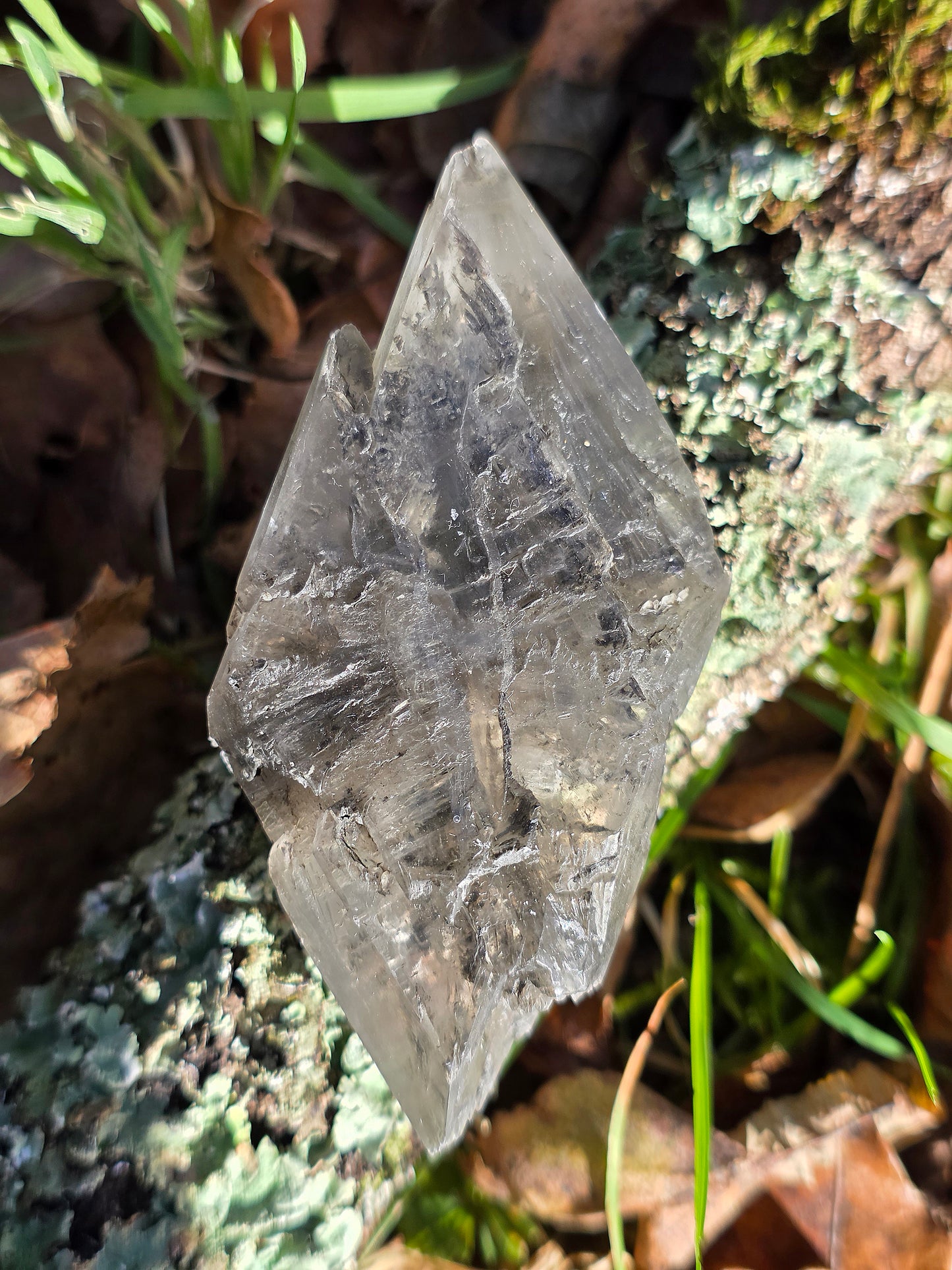 Gypse de Sinard n°2