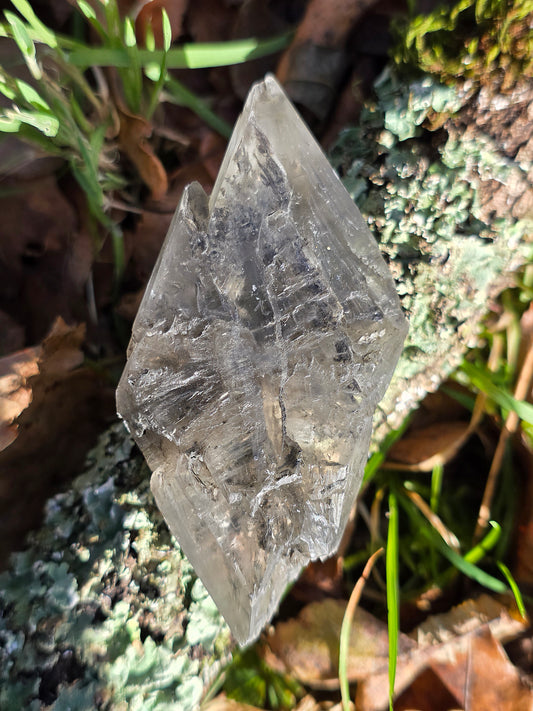 Gypse de Sinard n°2