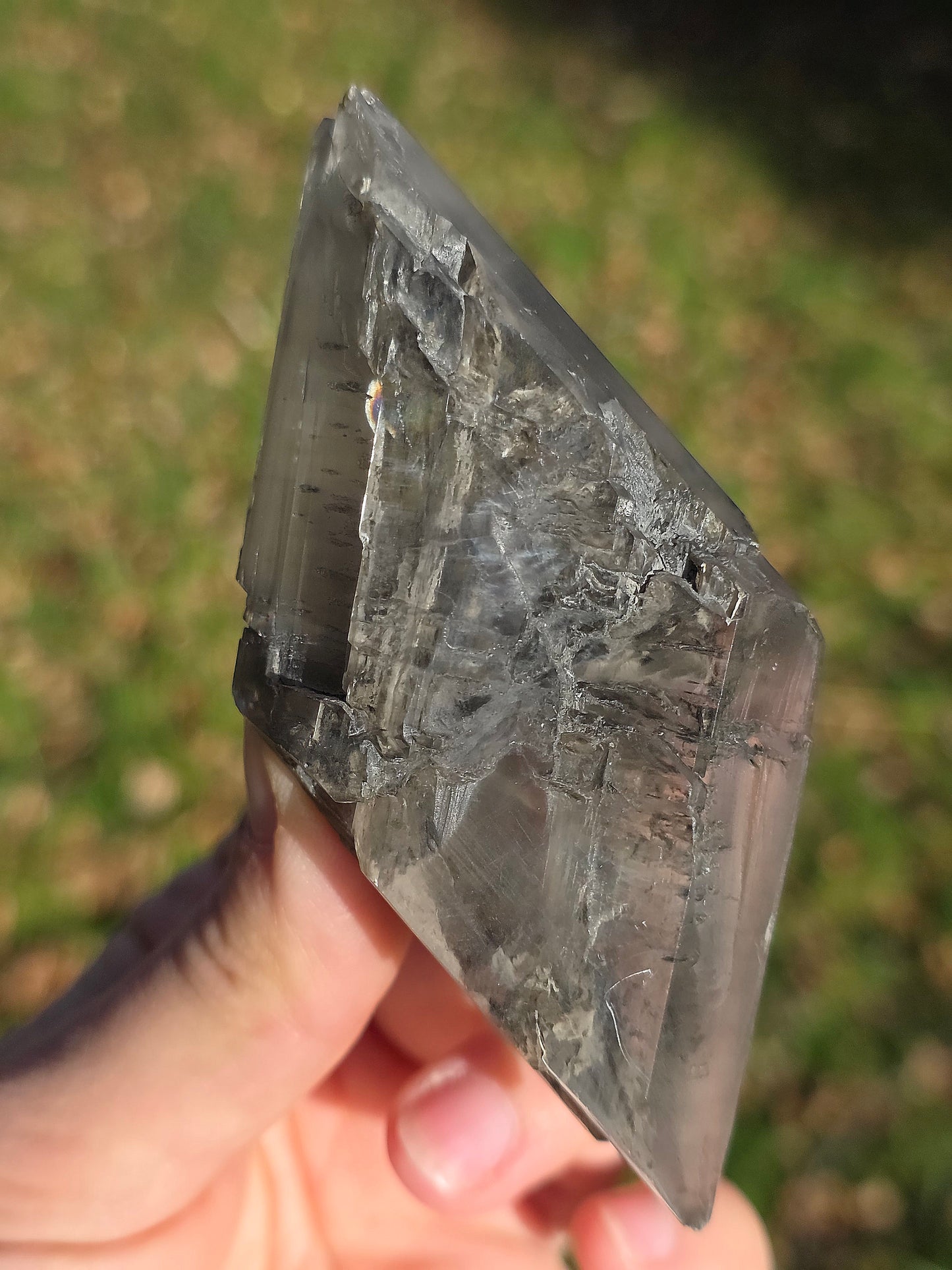 Gypse de Sinard n°4