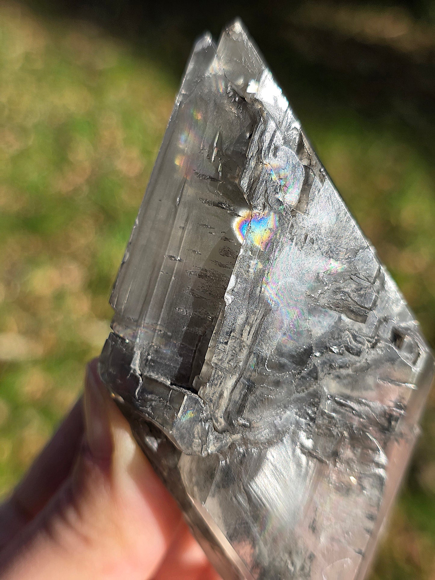 Gypse de Sinard n°4